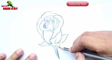 Tutorial de dibujo de rosas Cómo dibujar una rosa con lápiz