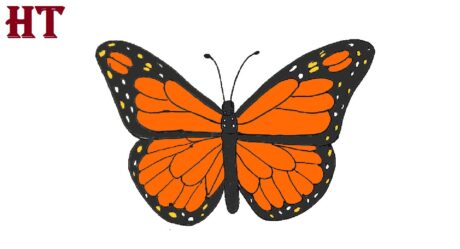 Simple Butterfly Drawing Easy for Beginners – How to draw a Butterfly