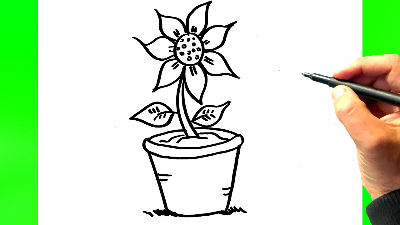 Tuto dessin pot de fleur, comment dessiner un pot de fleur facile