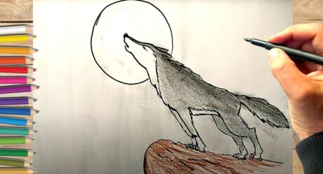 Apprendre comment dessiner un loup facile à faire étape par étape