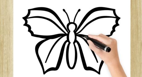 HOW TO DRAW A BEAUTIFUL BUTTERFLY