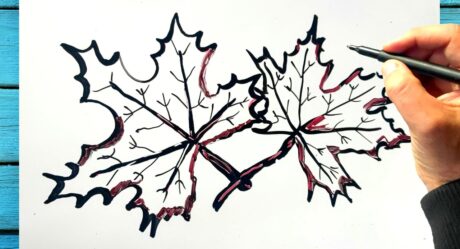 Comment dessiner des feuilles d automne dessin feuille arbre