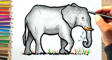 Comment dessiner un éléphant facilement, éléphant dessin couleur