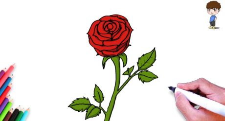 How to Draw a Rose Step by Step – Rose Easy Drawings For Kids