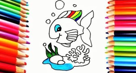 How to Draw and Color a Rainbow Fish – Drawings For Children