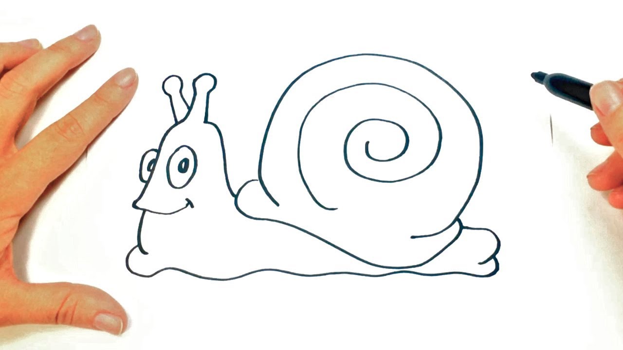 Cómo dibujar un caracol