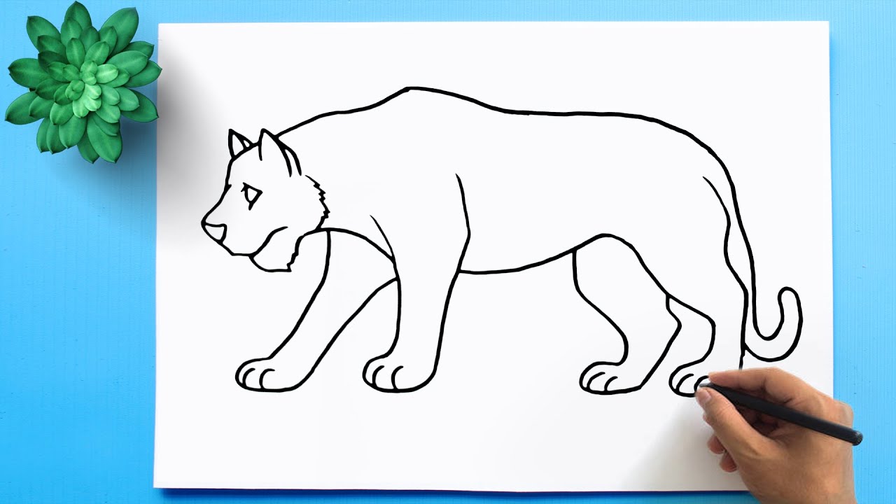 Easy Tiger Drawing | How to Draw Royal Bengal TIGER
