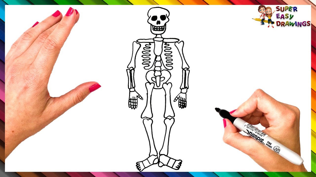 How To Draw A Skeleton Step By Step Skeleton Drawing Easy