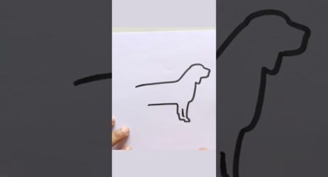 犬の輪郭ショートパンツの描き方 | #youtubeshorts | #ショートビデオ | #ショートビデオ | #ショートパンツ