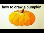 How To Draw a Pumpkin | Step By Step | For beginner