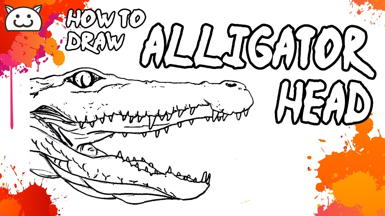 How to Draw Alligator Head