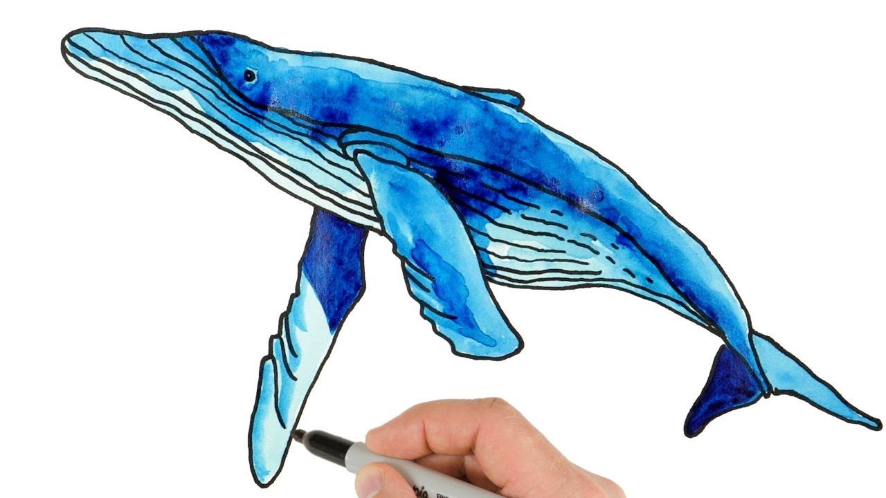 How to Draw Blue Whale | Watercolor Painting Techniques