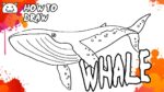 How to Draw Whale