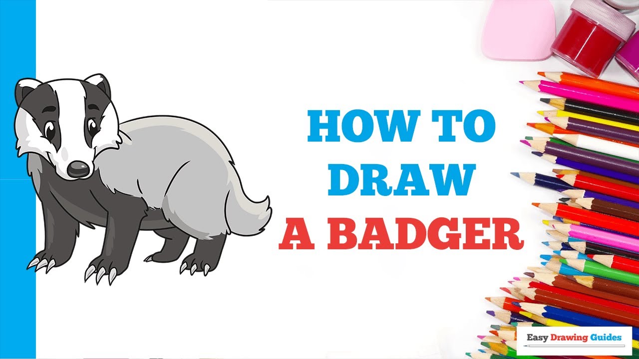 How to Draw a Badger in a Few Easy Steps Drawing Tutorial for Beginner