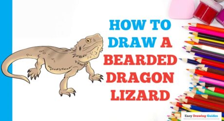 How to Draw a Bearded Dragon Lizard in a Few Easy Steps: Drawing Tutorial for Beginner Artists