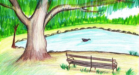 How to Draw a Bench under Tree Scenery Step by Step – very easy