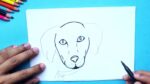 How to Draw a Dog Face  Pet portrait drawing- Dog