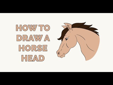 How to Draw a Horse Head in a Few Easy Steps: Drawing Tutorial for Beginner Artists