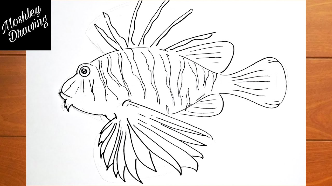 How to Draw a Lionfish Easy Step by Step