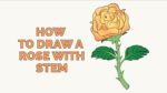 How to Draw a Rose in a Few Easy Steps: Drawing Tutorial for Beginner Artists