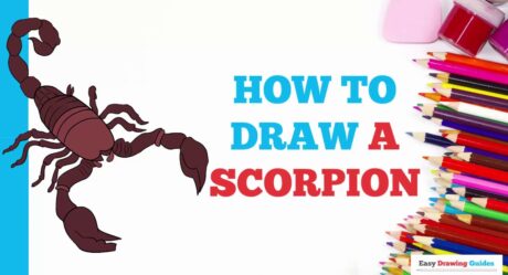 How to Draw a Scorpion in a Few Easy Steps: Drawing Tutorial for Beginner Artists