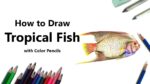 How to Draw a Tropical Fish with Color Pencils [Time Lapse]