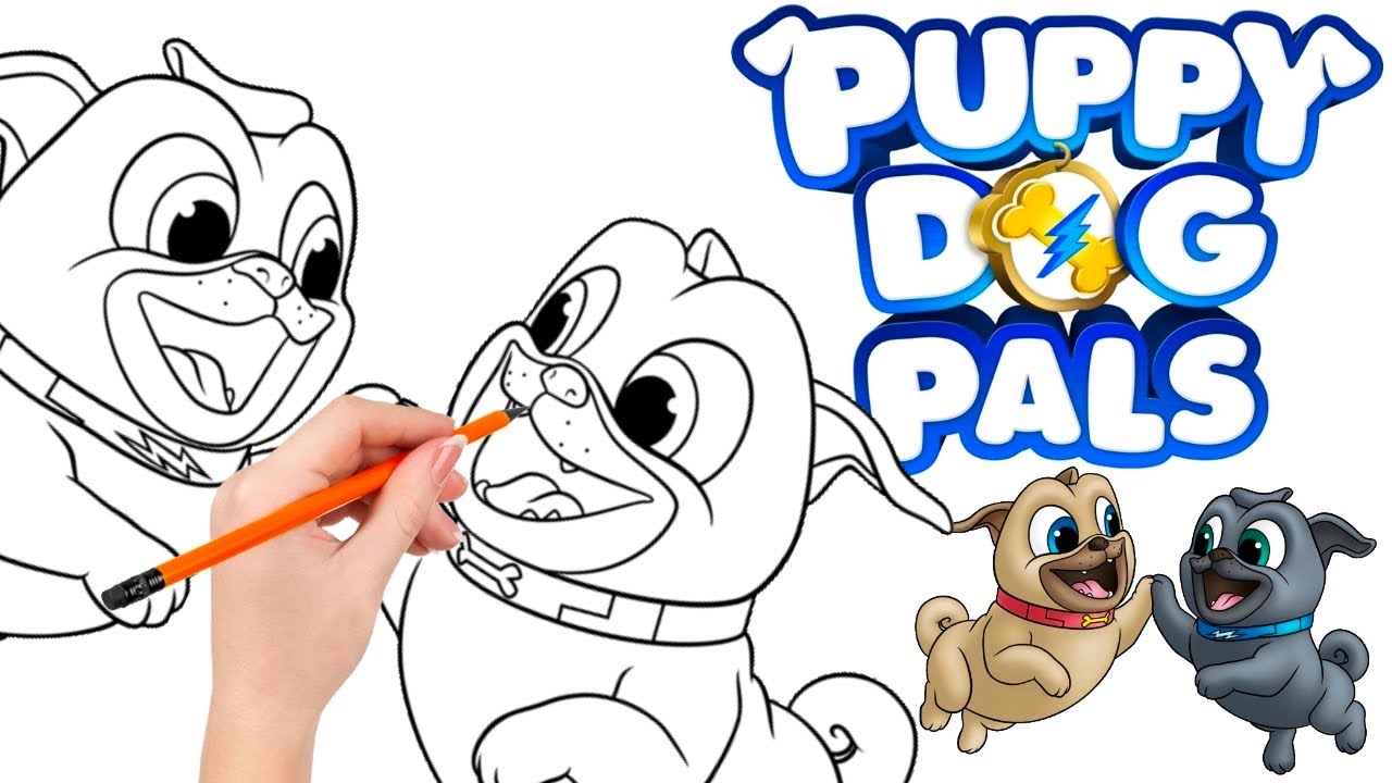 How to draw Bingo and Rolly, the twin brothers who love to go on missions - Puppy Dog Pals