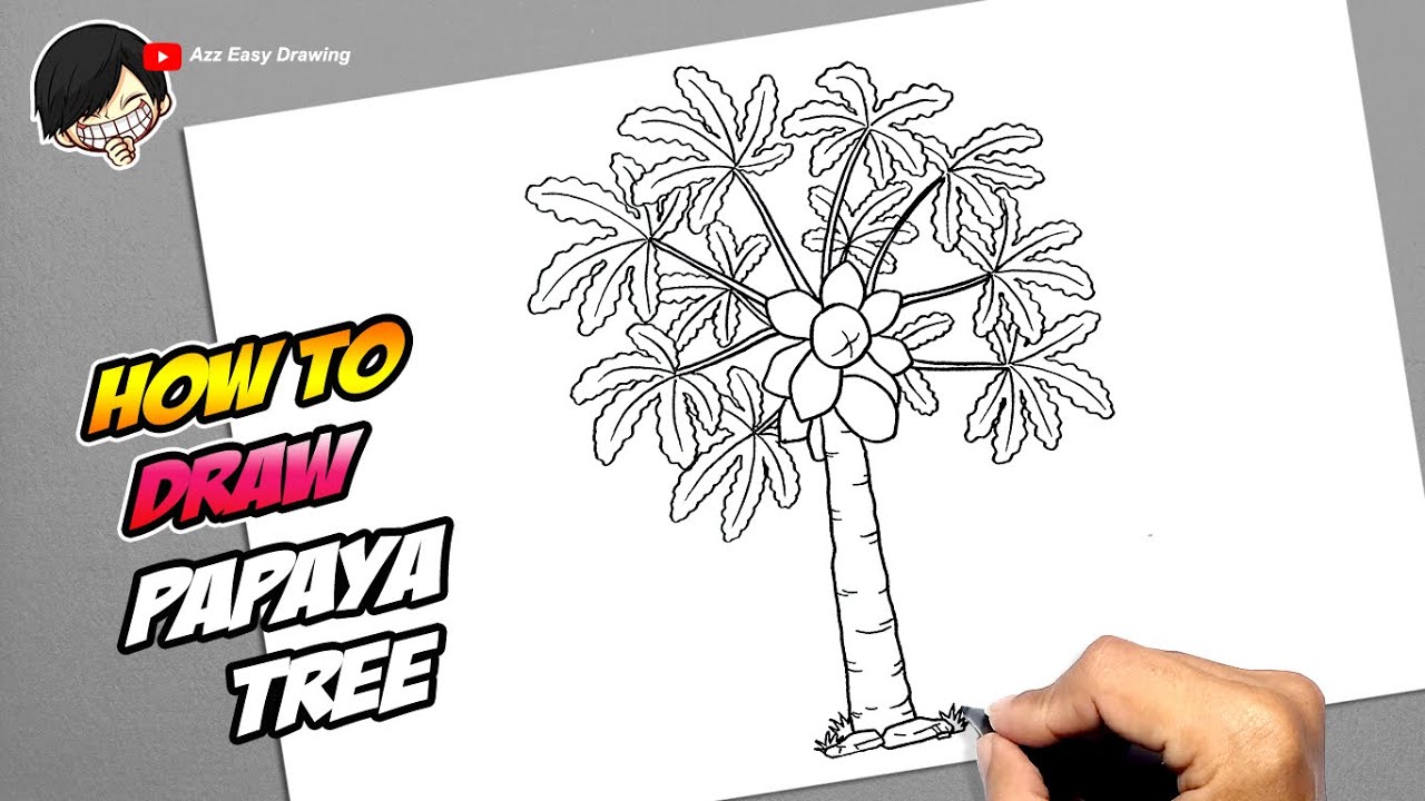How to draw Papaya Tree