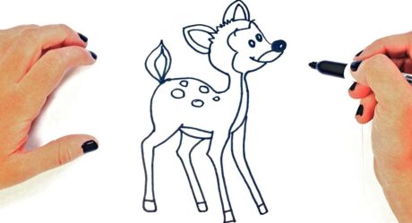 Comment dessiner un Bambi étape par étape | Dessins faciles