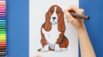 How to draw a Basset Hound dog
