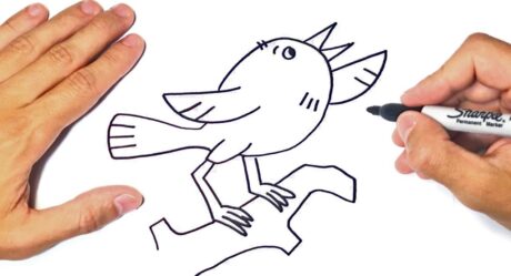 Comment dessiner un oiseau pour les enfants | Tutoriel de dessin facile d’oiseau