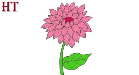 Cómo dibujar una flor de dalia