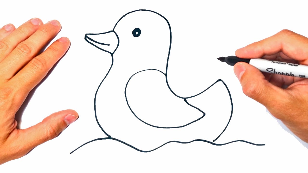 How to draw a Duckling Step by Step Drawing a Duckling