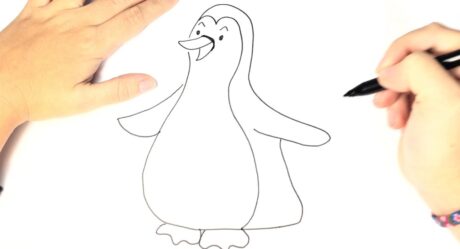 Comment dessiner un pingouin pour les enfants
