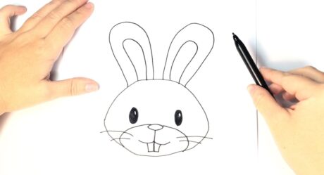 Cómo dibujar un conejo para niños