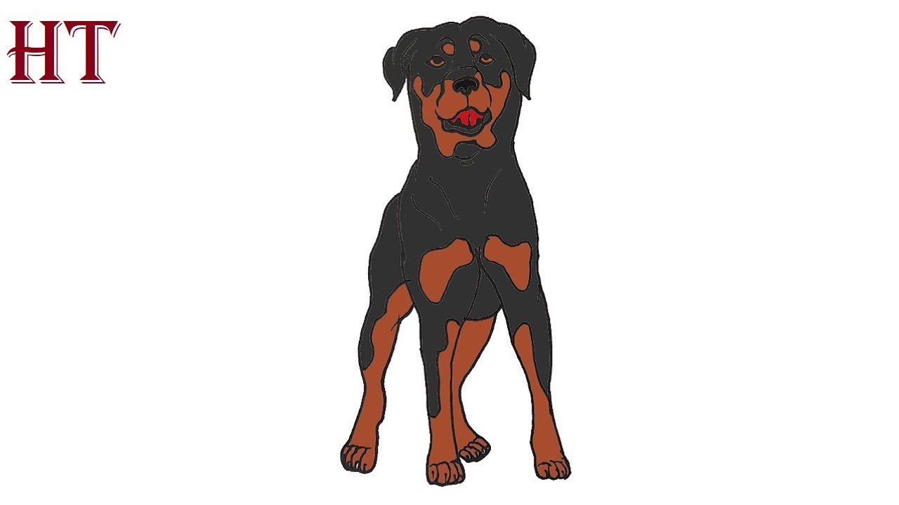 How to draw a Rottweiler Dog easy Step by Step