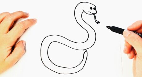 Comment dessiner un serpent étape par étape | Dessins Tutoriels