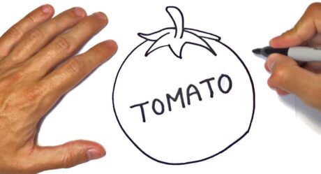 Comment dessiner une tomate étape par étape | Dessins faciles