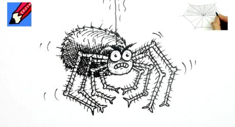 Comment dessiner une drôle d’araignée Real Easy