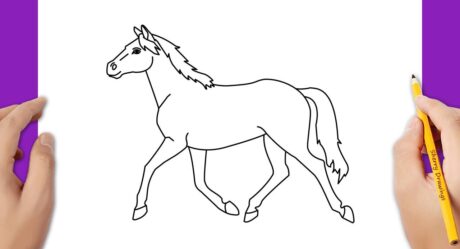 Comment dessiner un cheval