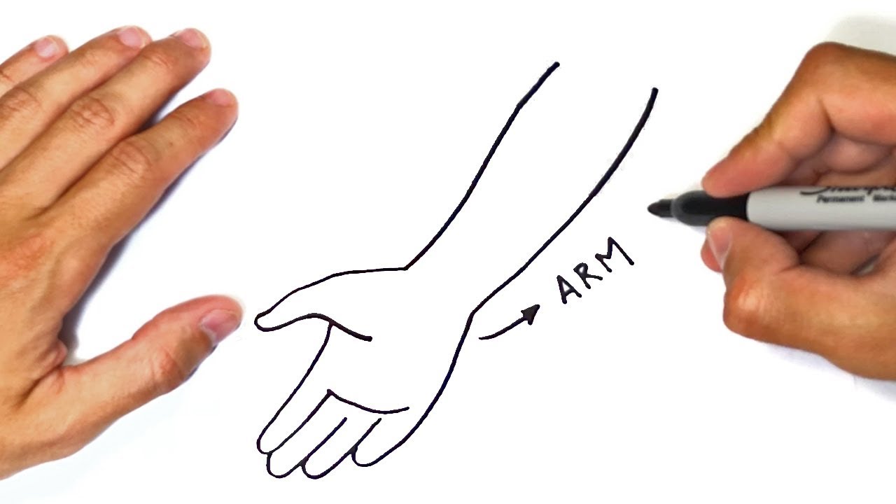 How to draw an Arm Step by Step Arm Drawing Lesson
