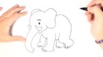 How to draw an Elephant for Kids