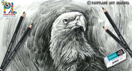 Comment dessiner une tête d’aigle avec des coups de crayon faciles et simples | Pas à pas