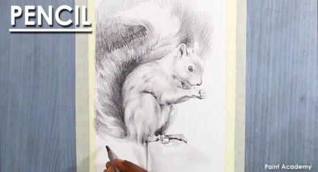 Pencil Drawing : A Composition on Squirrel | How to Shade