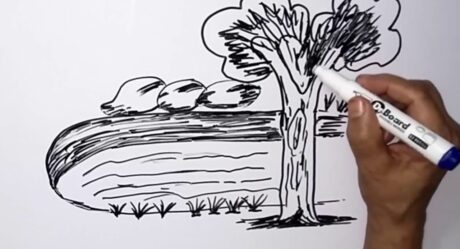 Belle scène simple dessinant sur un tableau blanc | Comment dessiner un arbre sur un tableau blanc en ligne