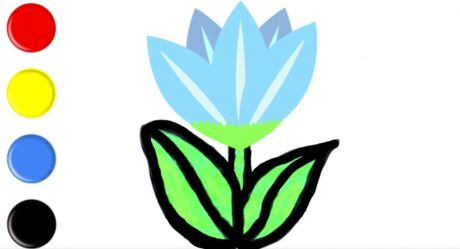 Tulpe | Zeichnen und ausmalen | Farben lernen | Deutsch und Englisch lernen