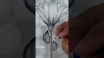 pencil sketch drawing - Ladybug Drawing easy