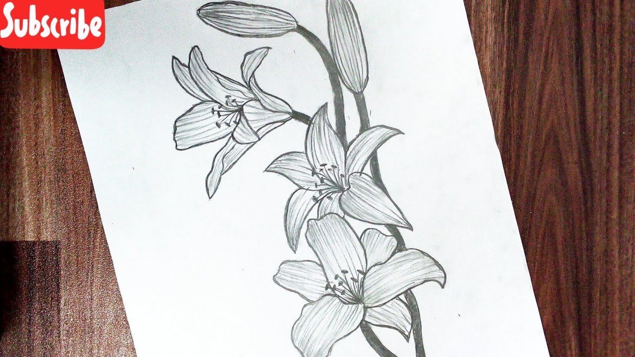 How to draw flowers easy step by step for beginners