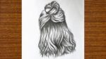 A girl with beautiful hair pencil sketch drawing || Easy drawing for beginners #Shorts