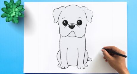 BullDog Drawing Easy | How to Draw an American Bulldog Puppy